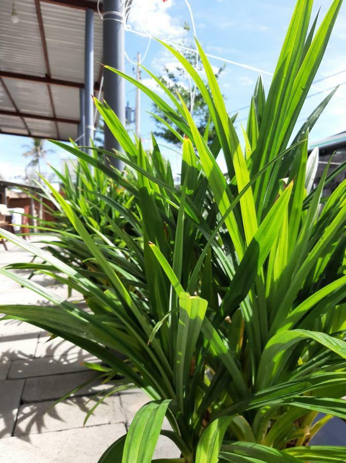 Connect Lejlighed Phan Thiết Eksteriør billede